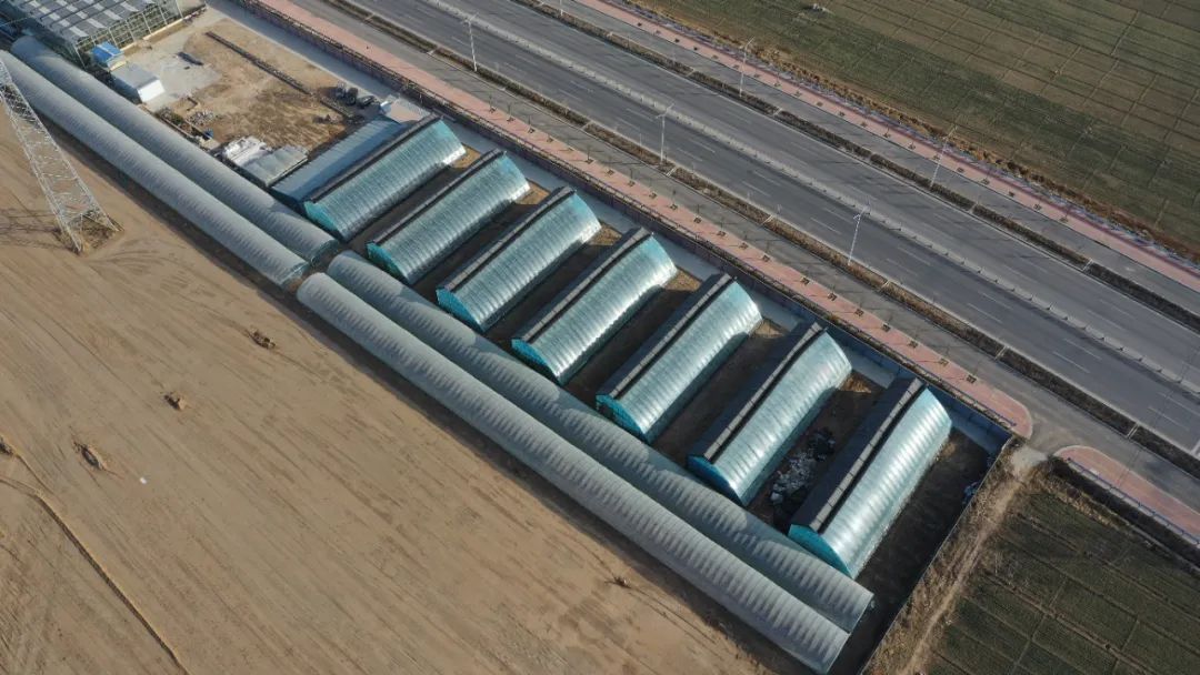 邀您来看，冬日里的“致富经”~