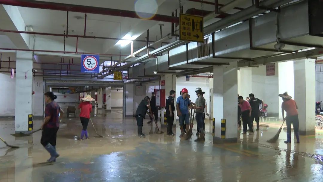 南安保洁上门清洁,南安白蚁消杀