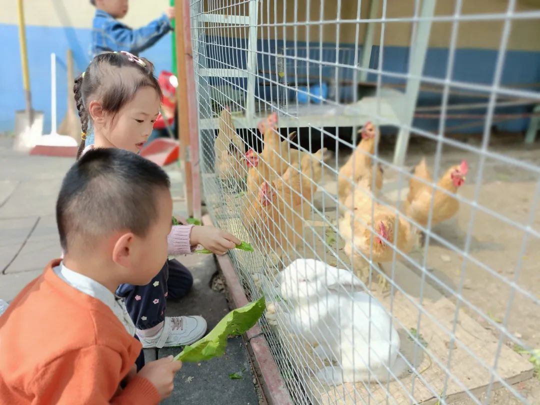 潮信幼儿园招生,如东县掘港幼儿园招生政策