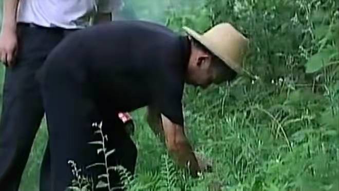 祖传毒蛇术招蛇视频,湖南村民招蛇术