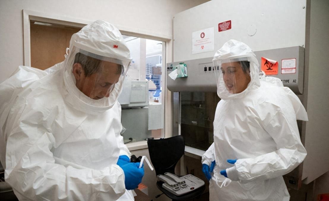 美国暴发超级真菌感染病例,超级真菌会在美国爆发吗