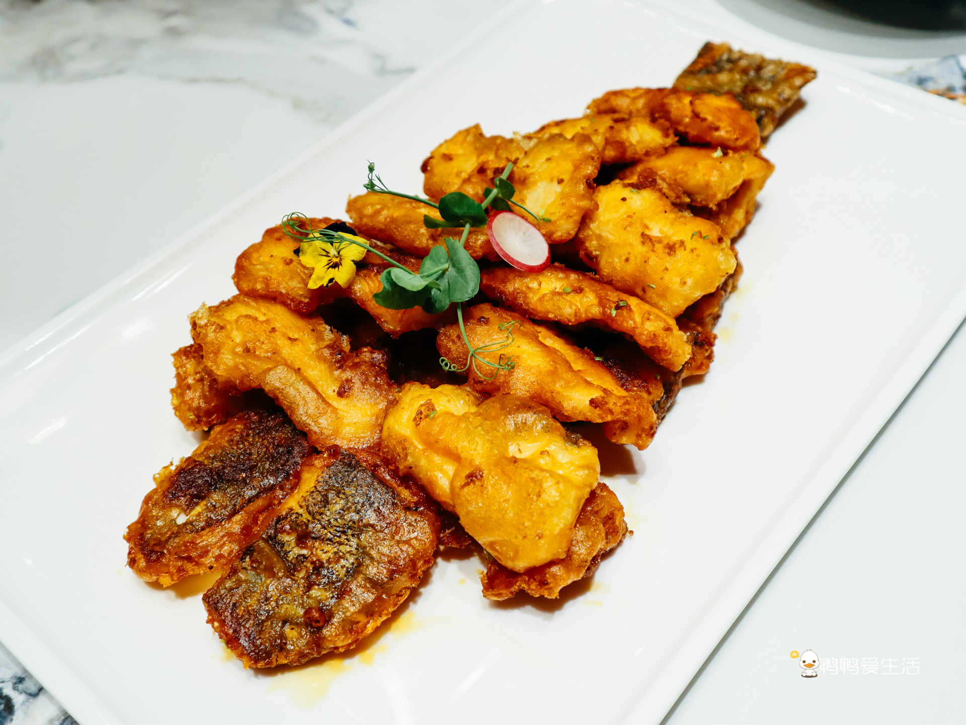 厦门请客聚会,厦门聚餐私房菜