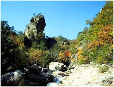 同样孤悬敌后，31师91团安全脱险而180师损失惨重，91团如何做到