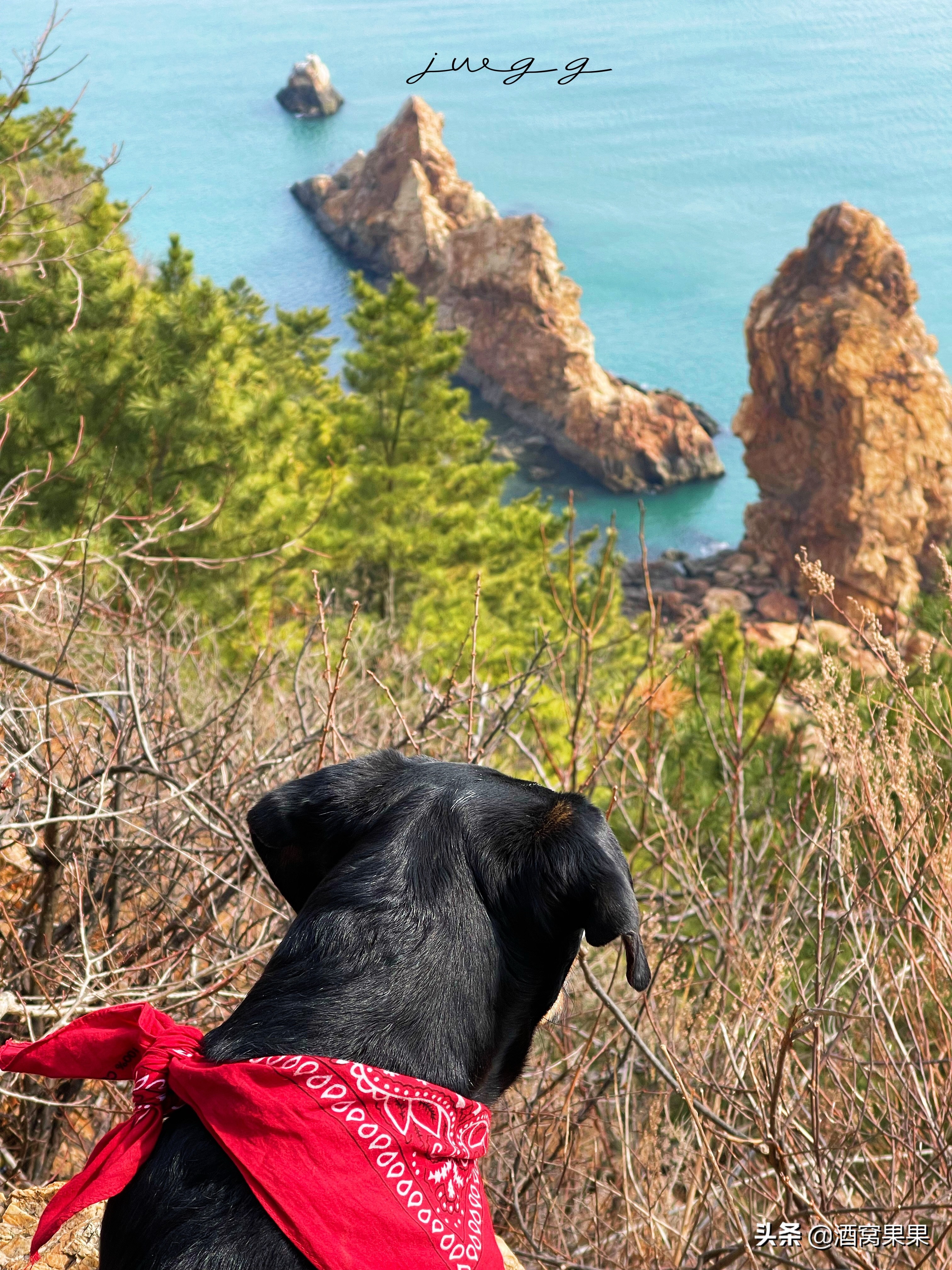 大连燕窝岭赶海时间表,大连免费赶海的燕窝岭