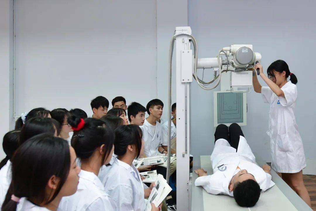 医学专业推荐报考但需三思而后行,报考医学类院校建议避开哪些专业