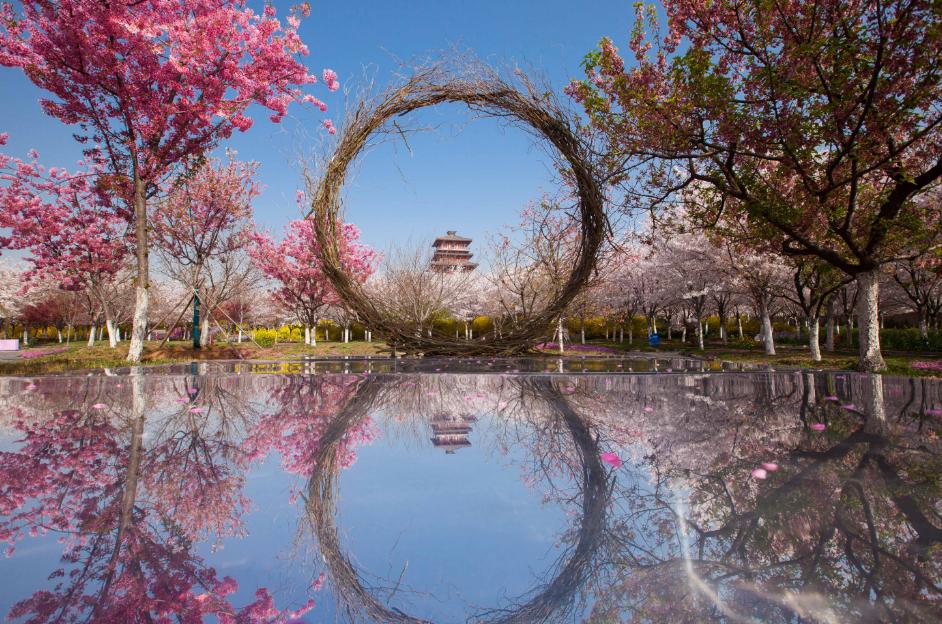 “人人人人人人我人人人人人人”，郑州清明假期旅游热情高涨，接待量达367.4万人次