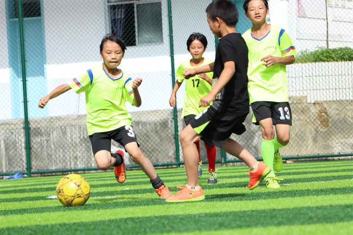 德育智育体育美育作用,育体教育