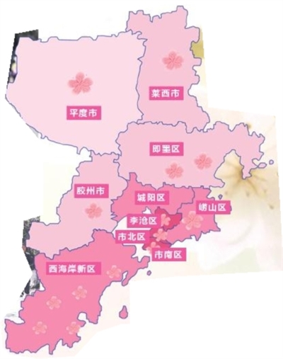 我和樱花有个约会背面完整版,和樱花的约会