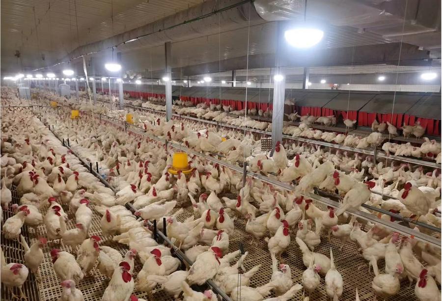 19个项目集中签约,19个项目集体签约