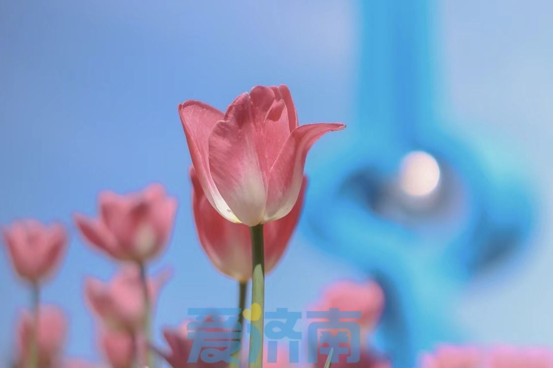 济南明天天气适合出游吗,济南51小长假天气预报