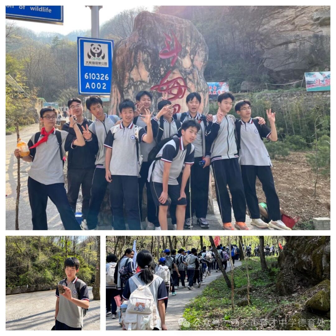 育才二小研学活动,育才中学社会实践活动方案