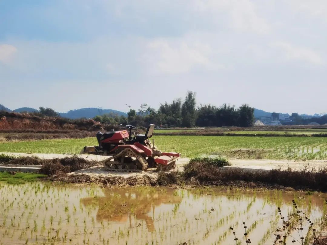 芭田有机无机复混肥40公斤水稻版,芭田水稻肥