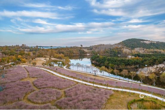 西海岸新区张家楼：以文塑旅、以旅促产，乡村振兴“一池春水”正激荡