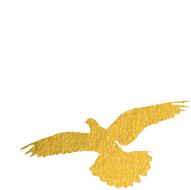 最新通知看牙补贴,马上领取种牙补贴