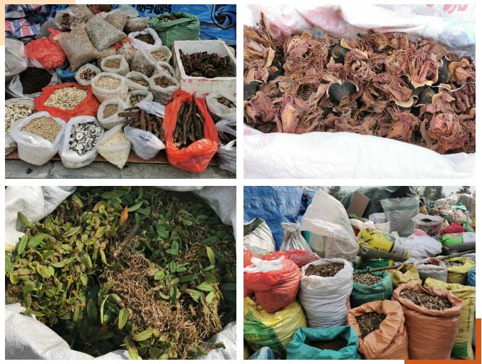 大理三月街药材批发,大理三月街药材市场2019