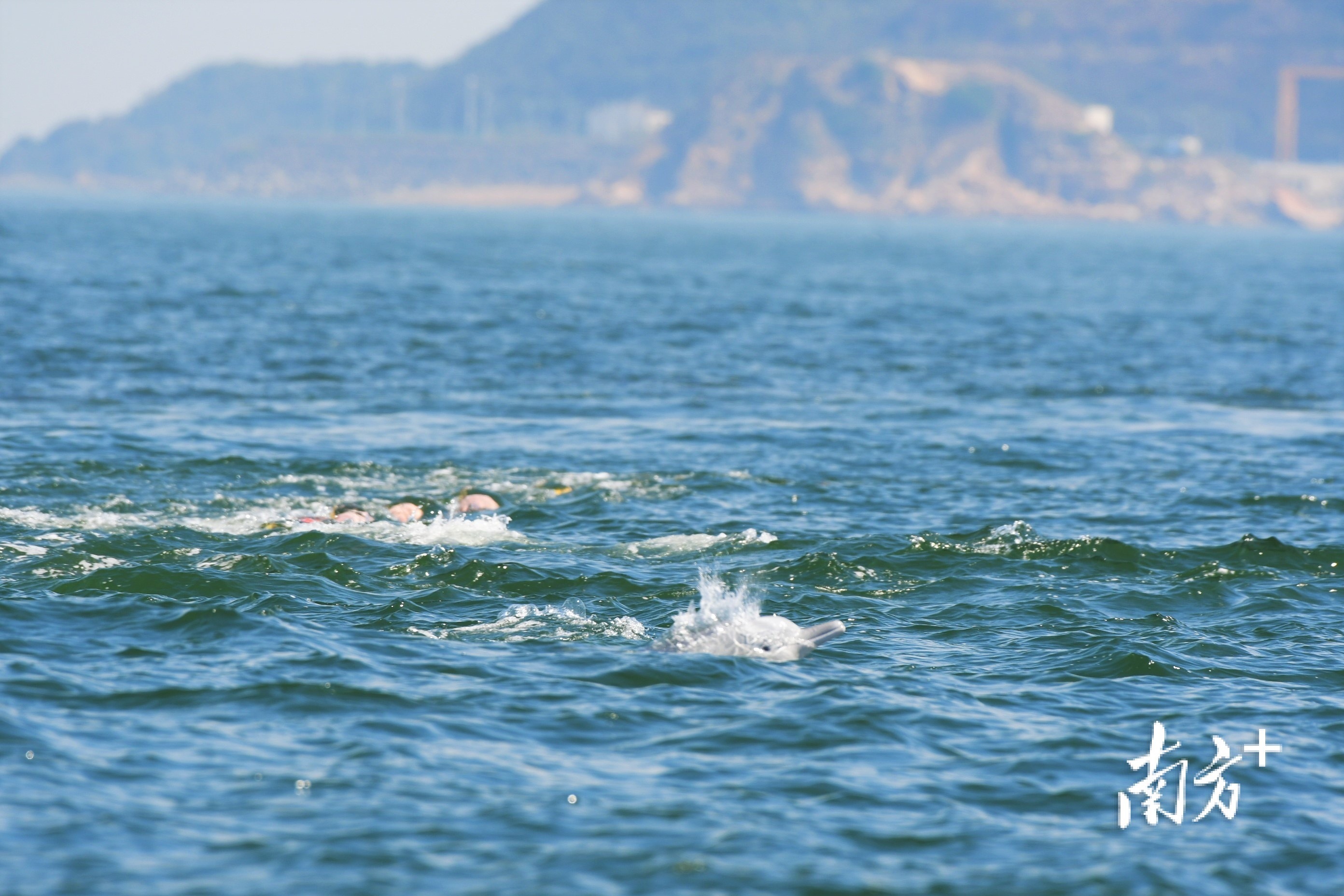 瑙鲁台山,瑙鲁总统将访问中国