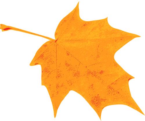 武汉蔡甸五贤路后官湖湿地公园,武汉后官湖湿地公园免费