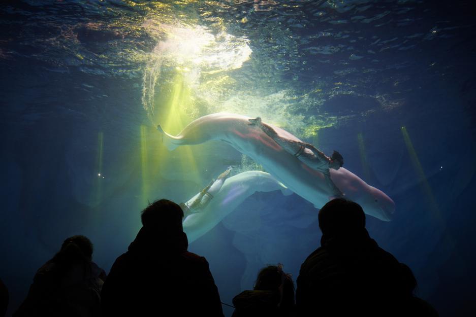 “人人人人人人我人人人人人人”，郑州清明假期旅游热情高涨，接待量达367.4万人次