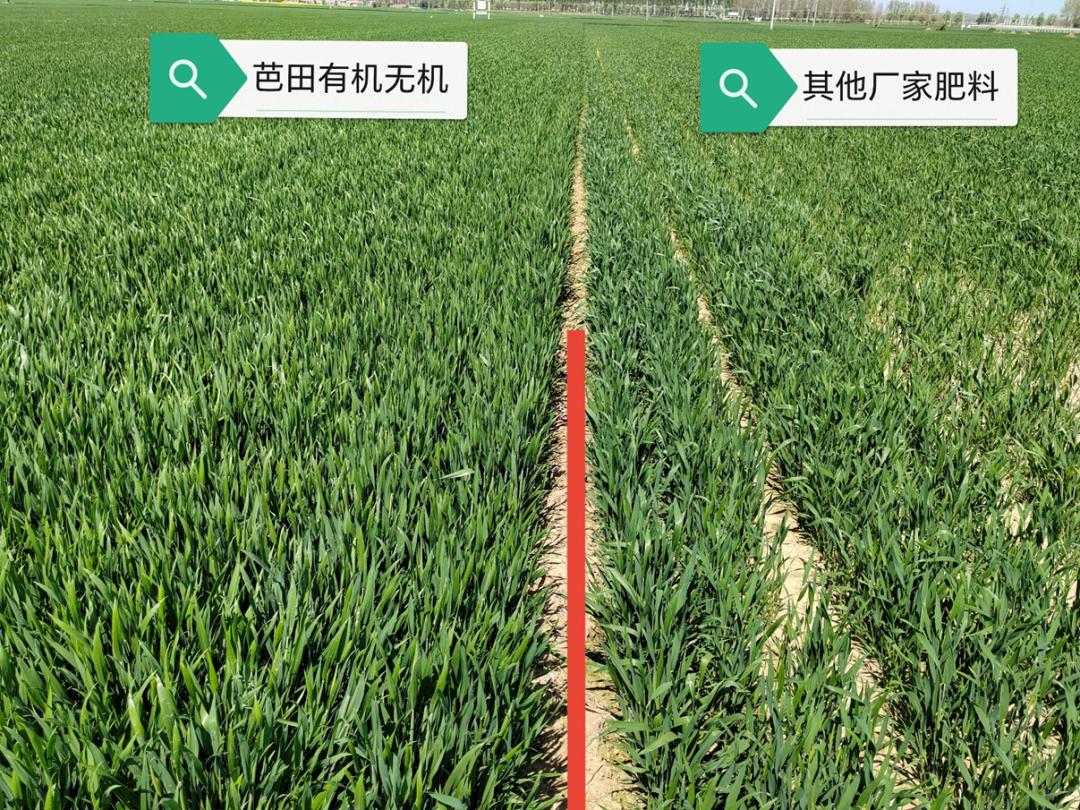 鑺敯鏃楀笢浜у搧鎺ㄥ箍娲诲姩,鑺敯鏃楀笢浜у搧