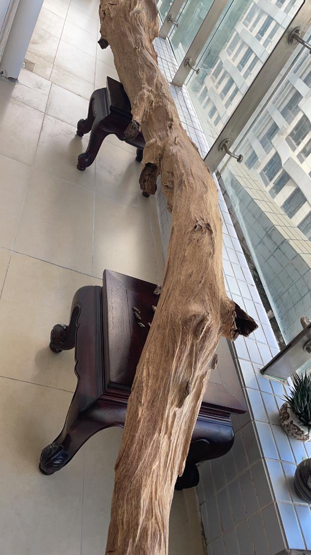 惠州绿棋沉香怎么样,惠东绿棋楠沉香礼盒