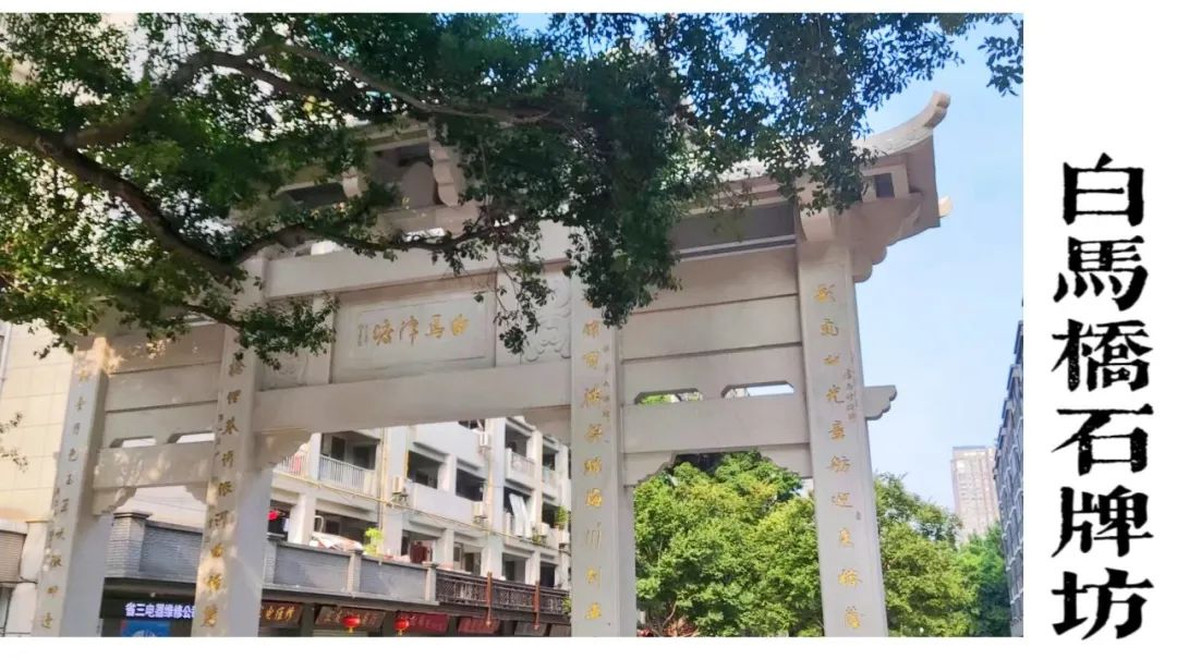 游泳摸河蚌配歌,游泳视频摸田螺