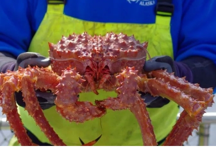 又一海鲜,中俄农产品交易中心海鲜