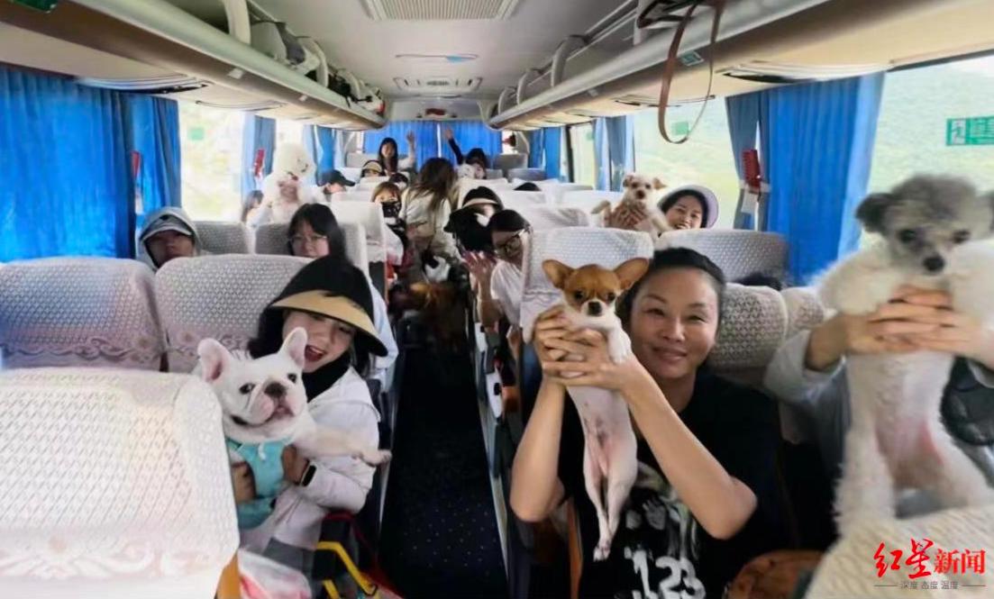 宠物上门喂兼职,宠物喂养上门可以做吗