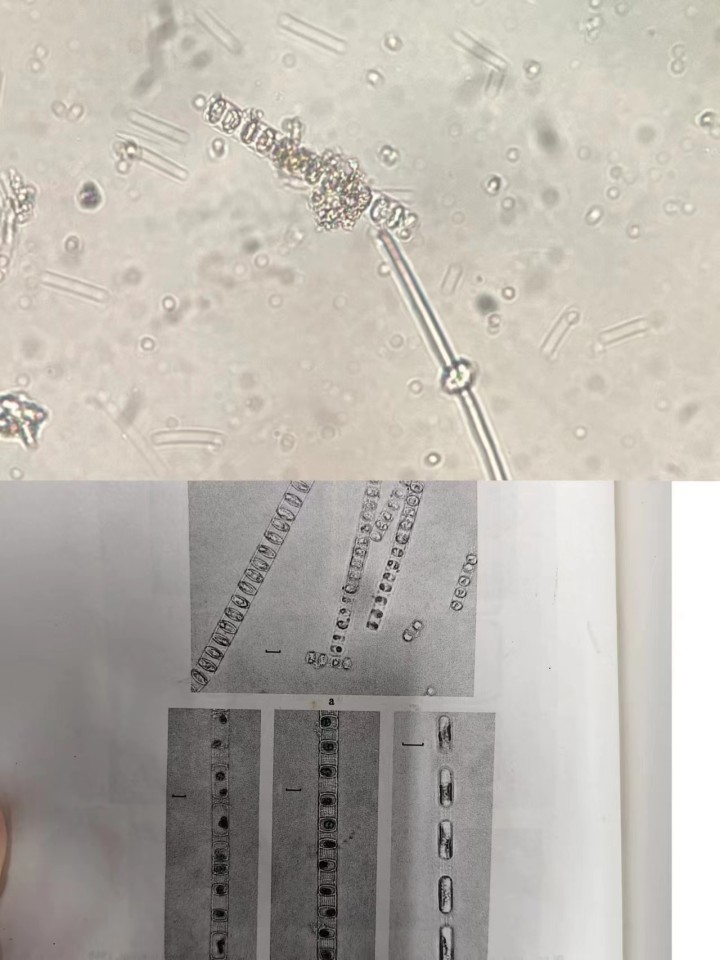 杭州水质与个人水质对比,为什么杭州水质很差
