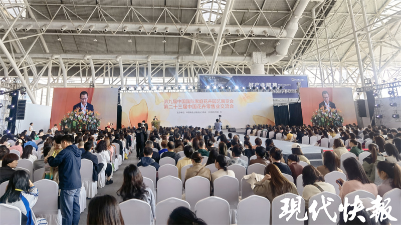 南京迎来最美银杏季,南京最美樱花季即将到来