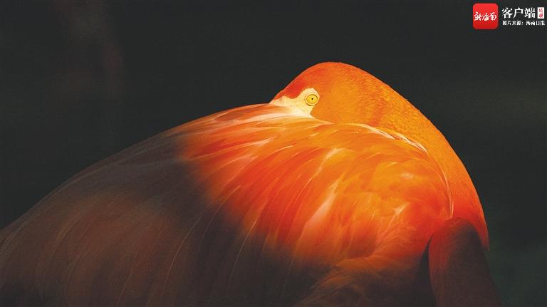 三亚摄影艺术欣赏,匠心摄影全球旅拍三亚