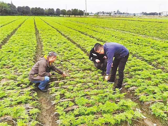 鐧惧勾鑰佸瓧鍙锋鍚涢榿,涓崕鑰佸瓧鍙风櫨骞存鍚涢榿