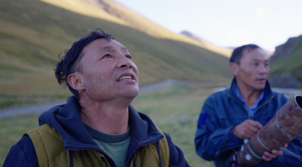 世界雪豹保护日,世界雪豹分布的国家数量