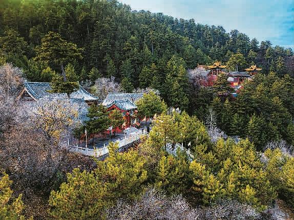 静乐：以绿染川以绿画山