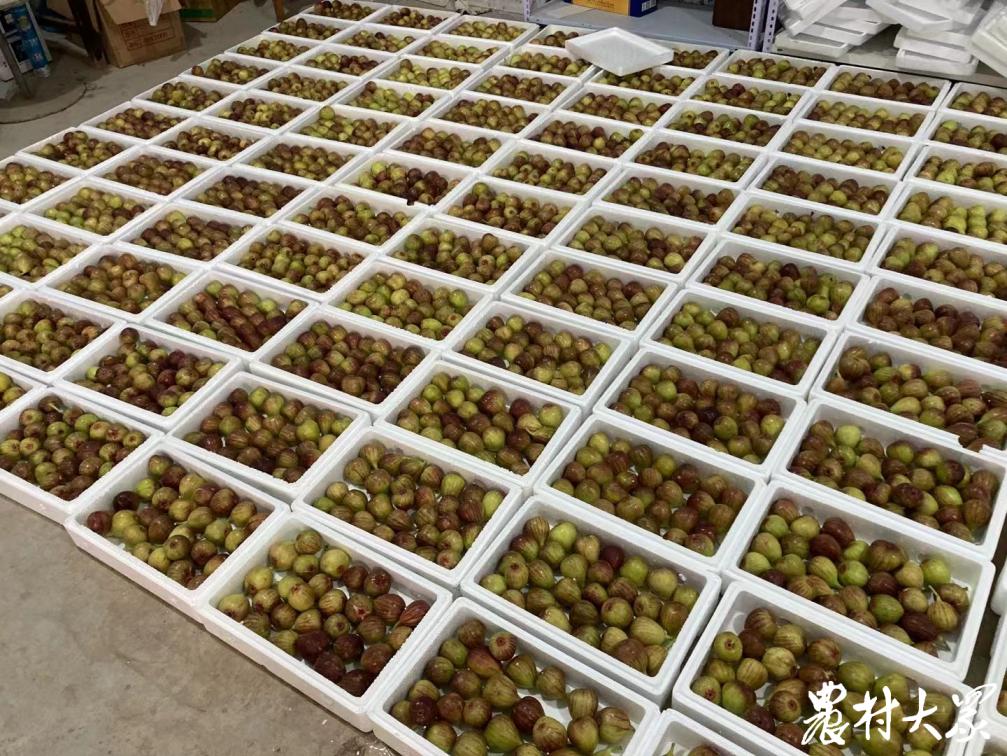 卖水果可以同时做果汁吗,可以做卖水果的生意吗