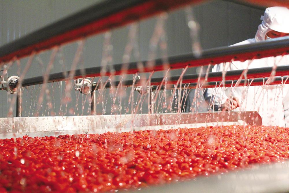 筑起一个生机勃勃的“聚宝盆”——海西积极打造绿色有机农畜产品输出地