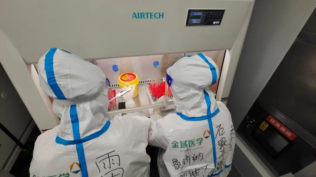 千里驰援藏驼队,千里驰援额济纳