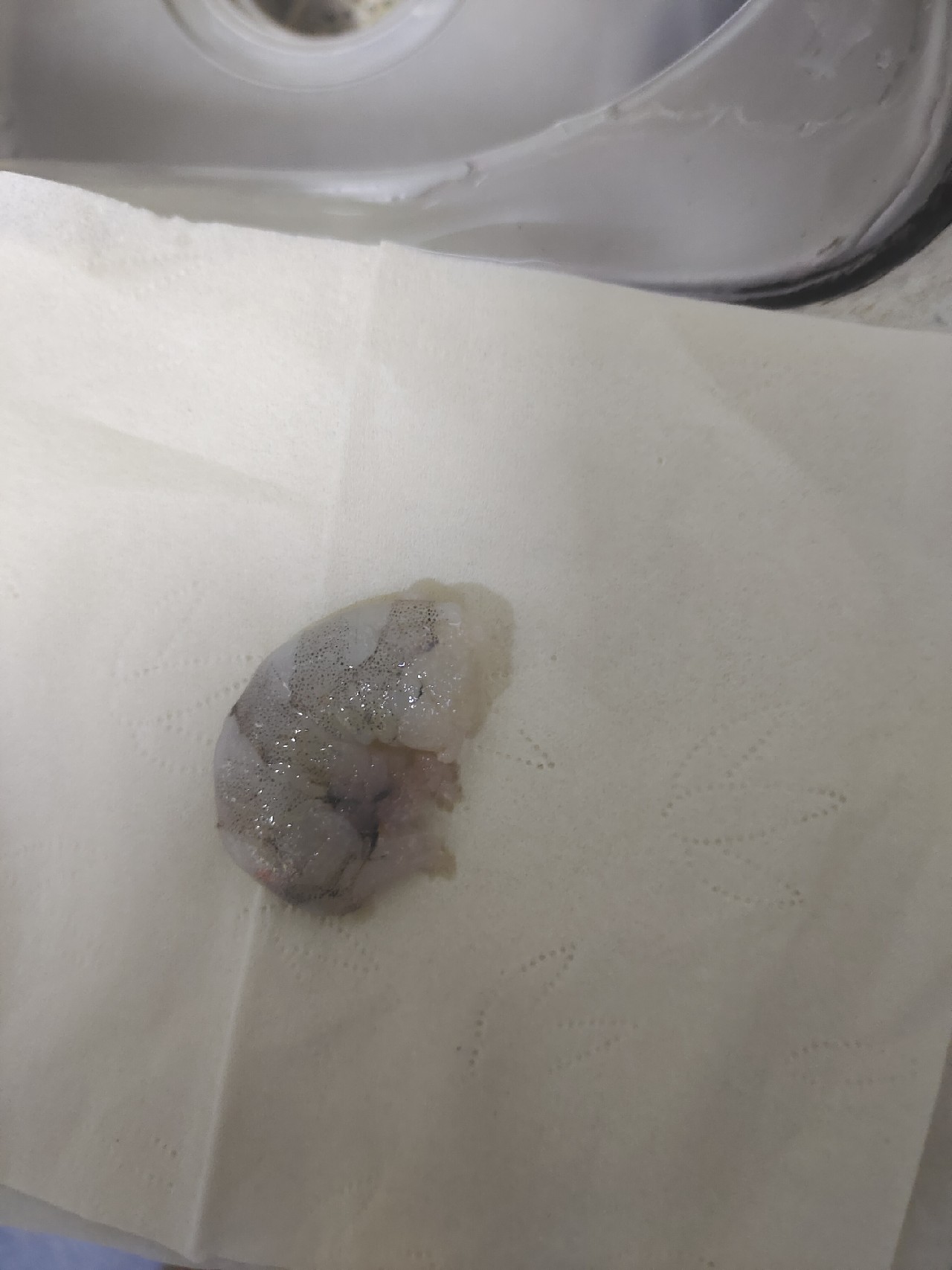 腌制虾仁钓饵效果怎么样,自制河虾专用饵料配方大全