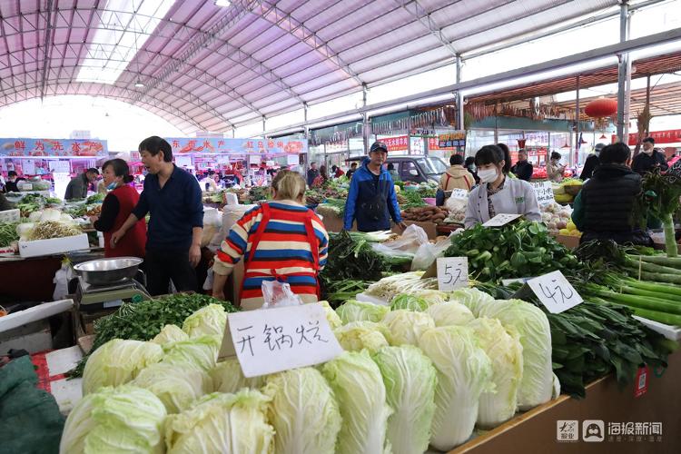 市民菜篮子有保障,市民菜篮子的视频