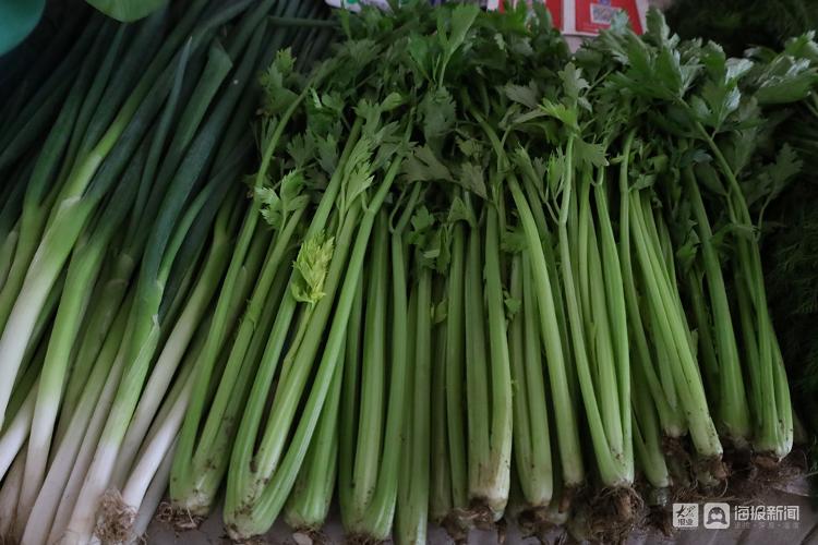 市民菜篮子有保障,市民菜篮子的视频