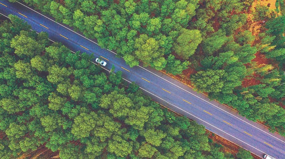 历史文化名城武威,武威市历史文化名城