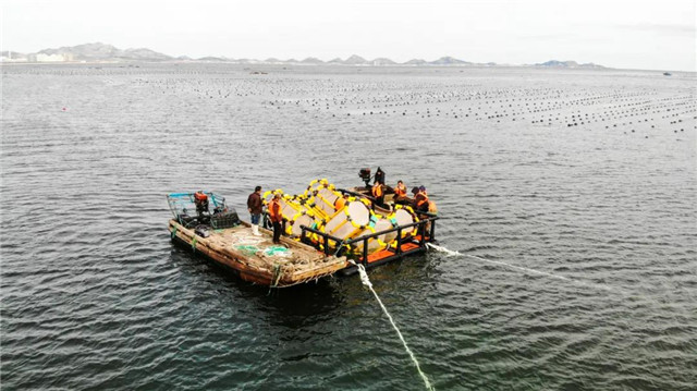 威海蓝碳科技,威海南海蓝碳