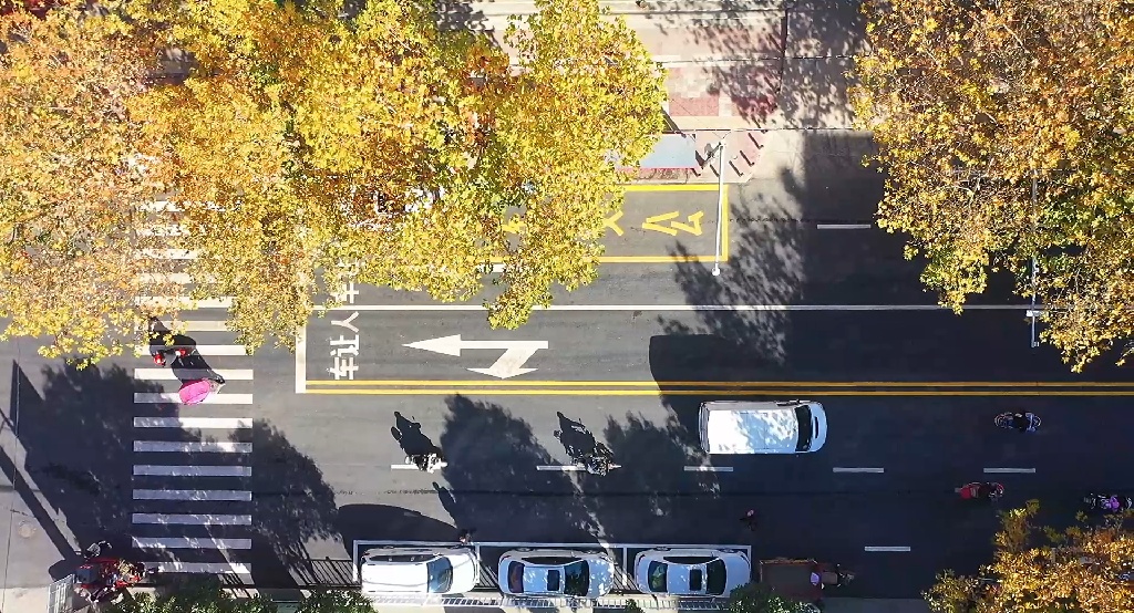 丹凤县2020新型城镇化项目,丹凤县城镇化项目