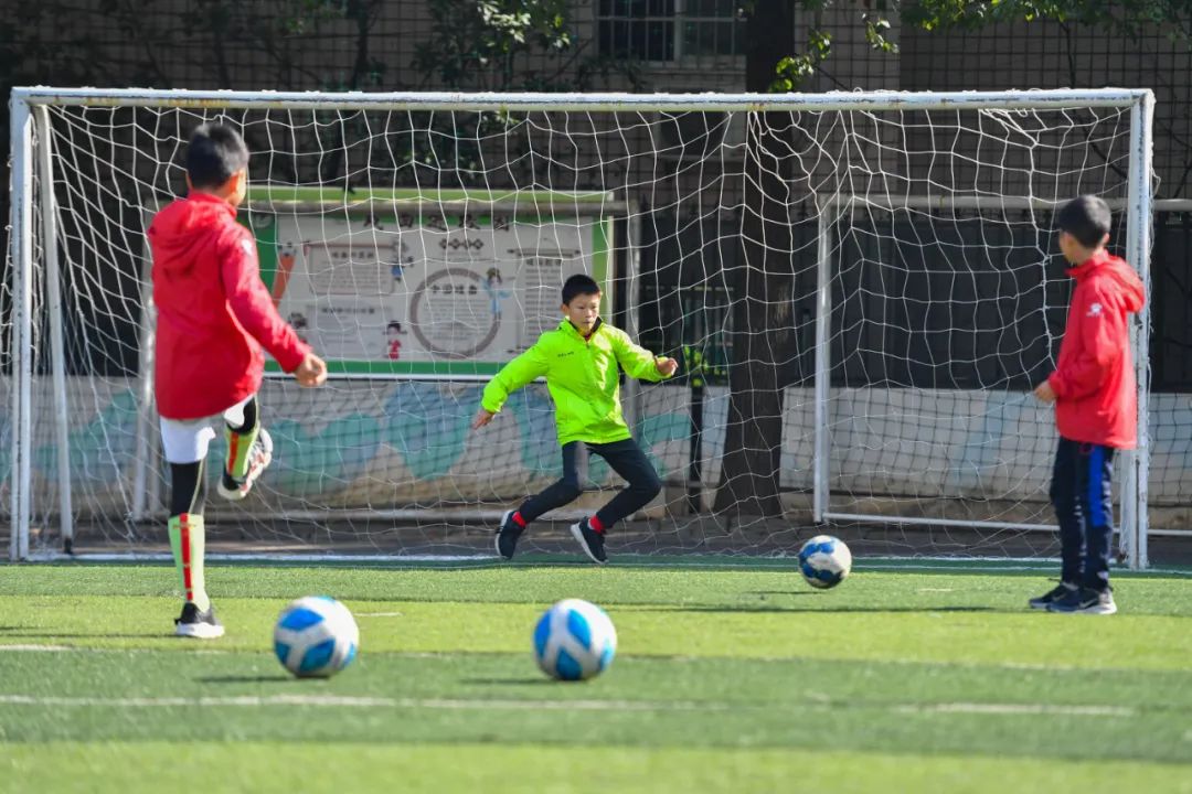 国际体育教育的发展趋势,体育国际教育