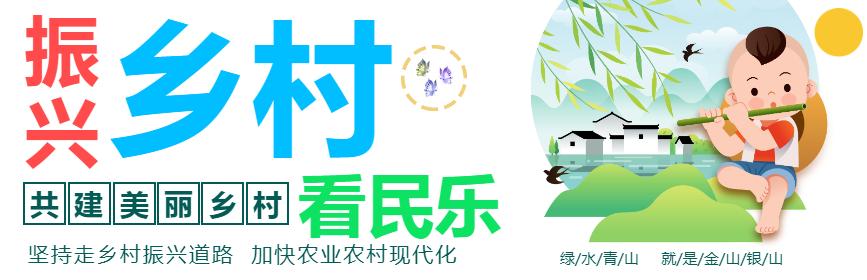 乡村振兴带头人主要做好哪三件事,乡村振兴带头人事迹