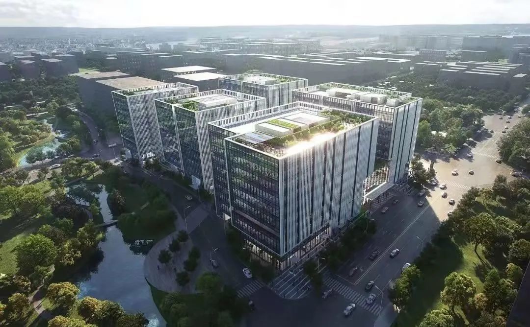 聚焦“一核一区一带”、规划新建10所学校……七宝，未来可期丨“一把手”话新图景