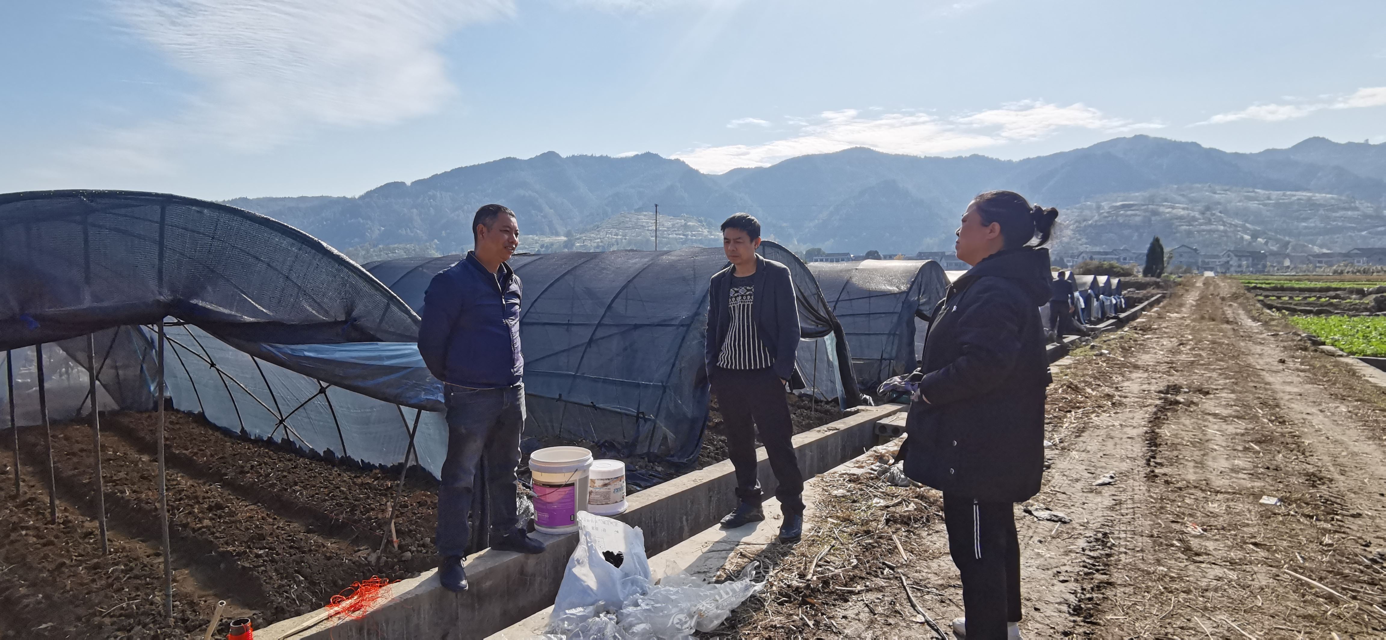 2025年巩固脱贫成果振兴乡村战略,脱贫成果巩固与乡村振兴有效衔接