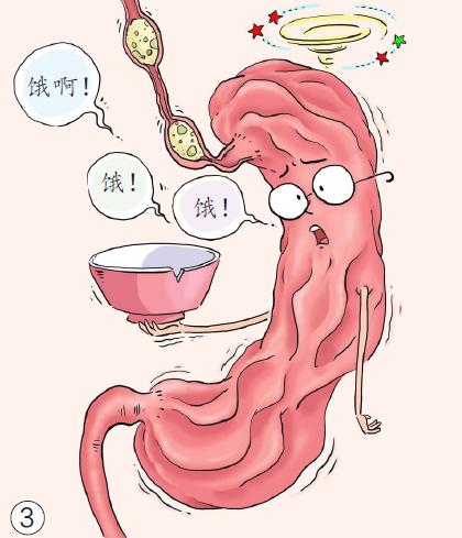 胃很饿吃不了几口就饱很撑,胃很饿就是吃不进去怎么缓解