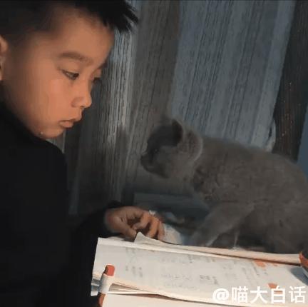 高情商回复男人聊天技巧语录,聊天也这么幽默高情商回复