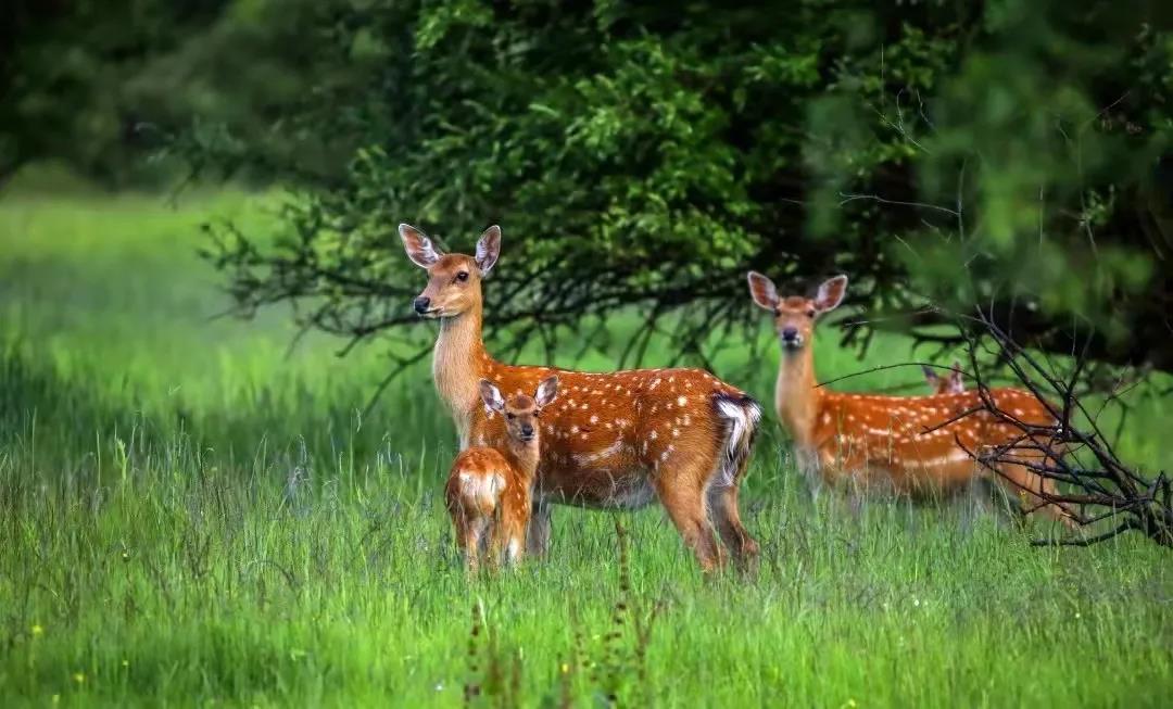 生态环境看哪里,生态看小米