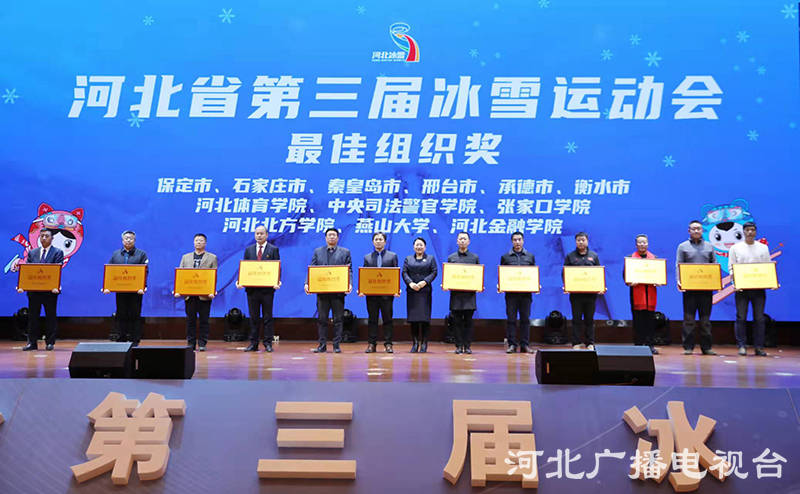 河北省第三届冰雪运动会冰球决赛,河北省第三届冰雪运动会